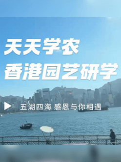 与香港园艺学会联合举办香港园艺研学，专业园境师带队讲解。