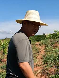 农业人叶涛，50多岁通讯人跨界搞农业，他要用1000万打造一个梦。